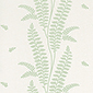 Product image for product ENSBURY FERN                            