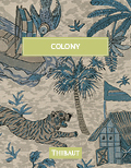 Cover photo for Colony