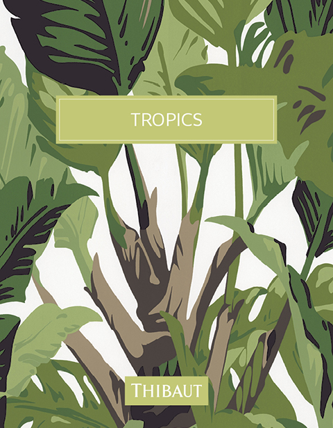 Cover phtoo for Tropics collection