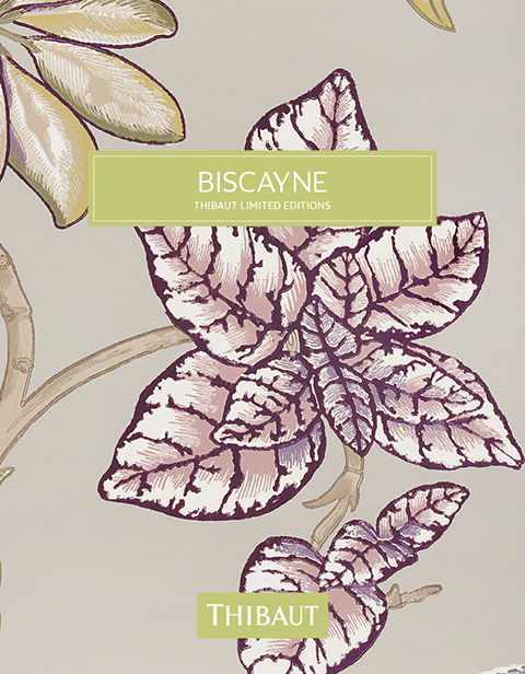 Cover phtoo for Biscayne collection