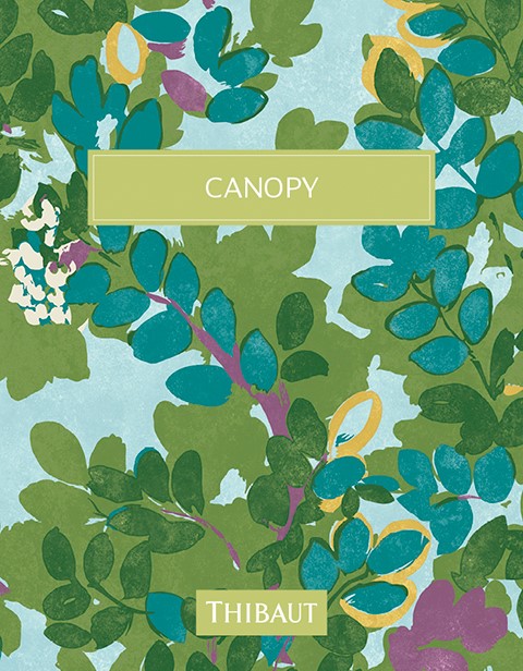 Cover phtoo for Canopy collection