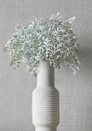 Thibaut Design Paper Linen in Grasscloth Resource 5