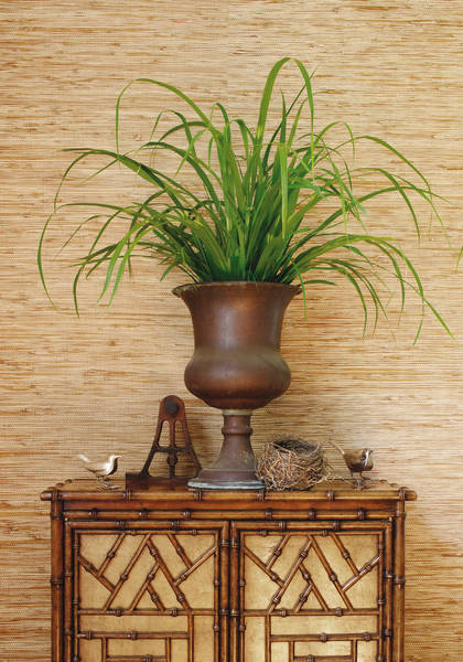 Colony Raffia from Grasscloth Resource 2 Collection