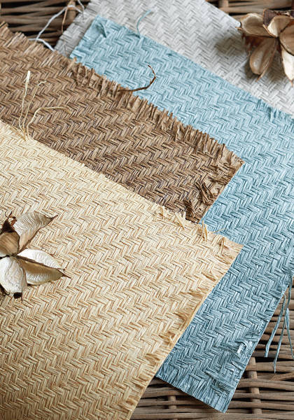 Santa Fe from Grasscloth Resource 3 Collection