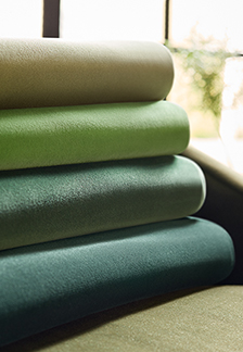 Green Color Story from Lyra Velvets Collection