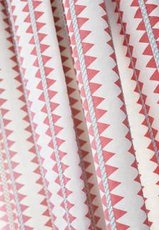 Reno Stripe Embroidery  from Mesa Collection