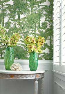 Palm Botanical from Tropics Collection