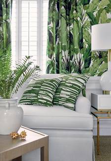 Travelers Palm from Tropics Collection
