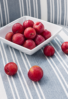Kaia Stripe Plums from Villa Collection