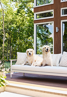 Rimini Dogs from Villa Collection