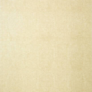 KISSIMMEE, Grey, T75091, Collection Faux Resource from Thibaut