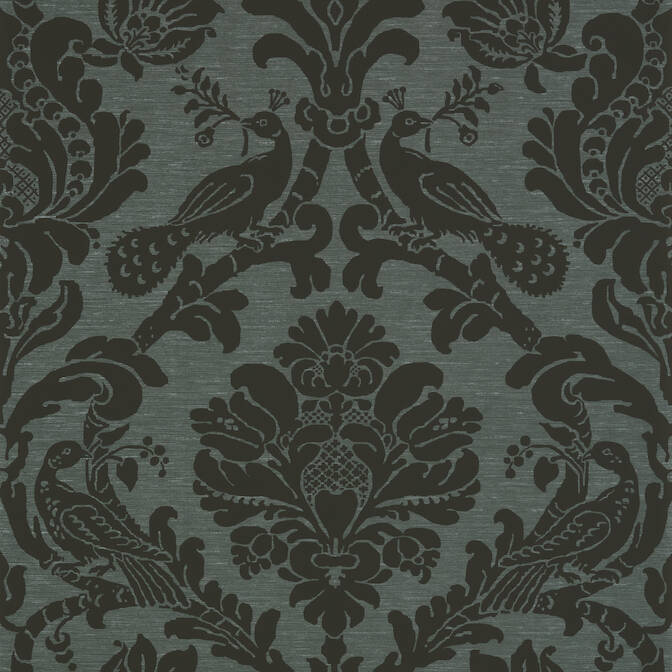 PASSARO DAMASK, Black on Charcoal, T89150, Collection Damask Resource 4  from Thibaut