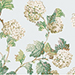 Product image for product SUSSEX HYDRANGEA                        