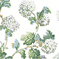 Product image for product SUSSEX HYDRANGEA                        