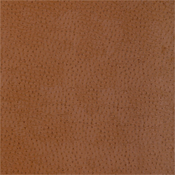 NATURAL OSTRICH, Chestnut, T6826, Collection Texture Resource 3 from Thibaut