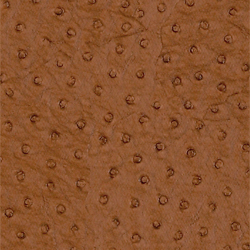 NATURAL OSTRICH, Chestnut, T6826, Collection Texture Resource 3 from Thibaut